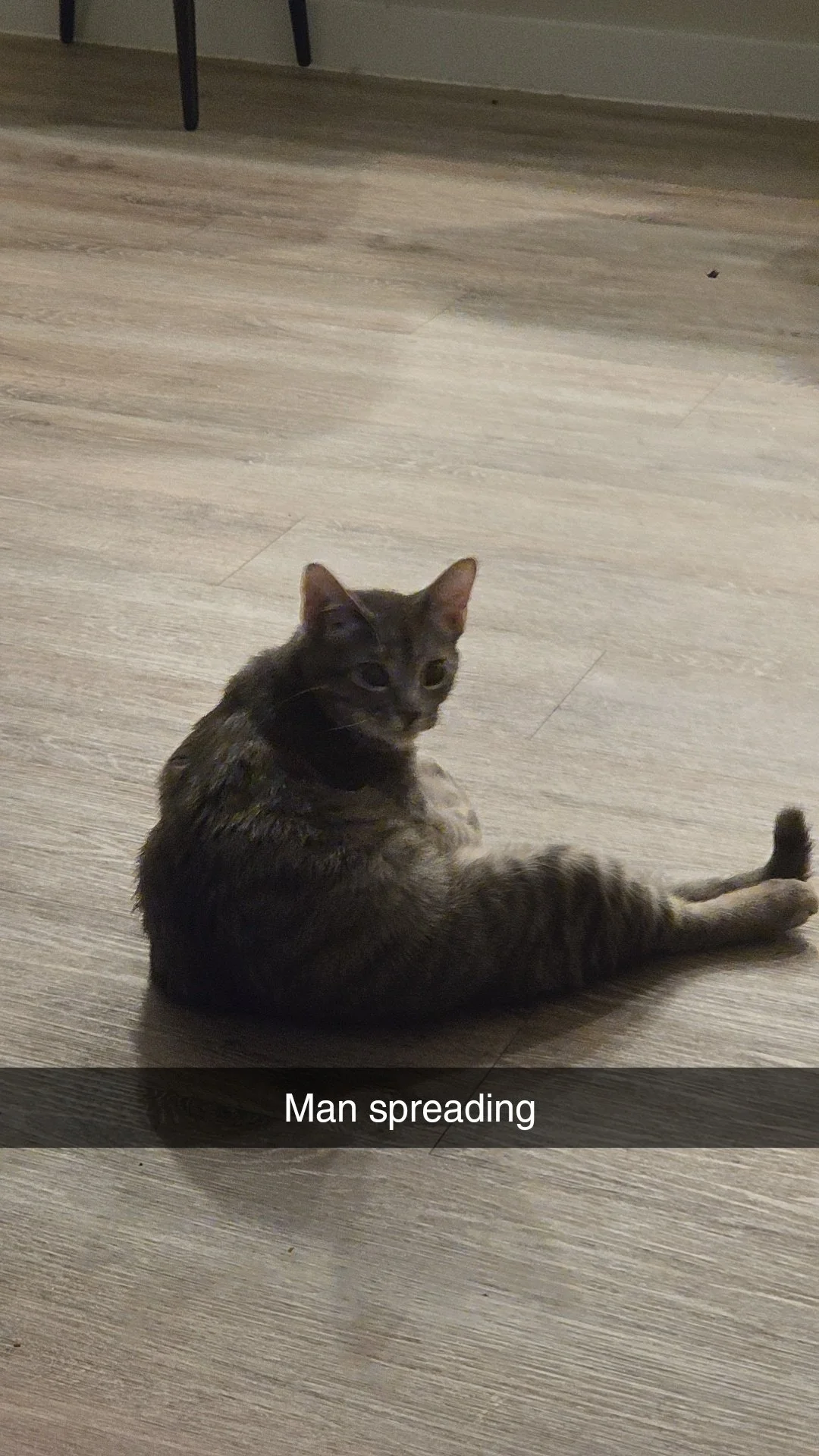 Snapchat-611860391.jpg