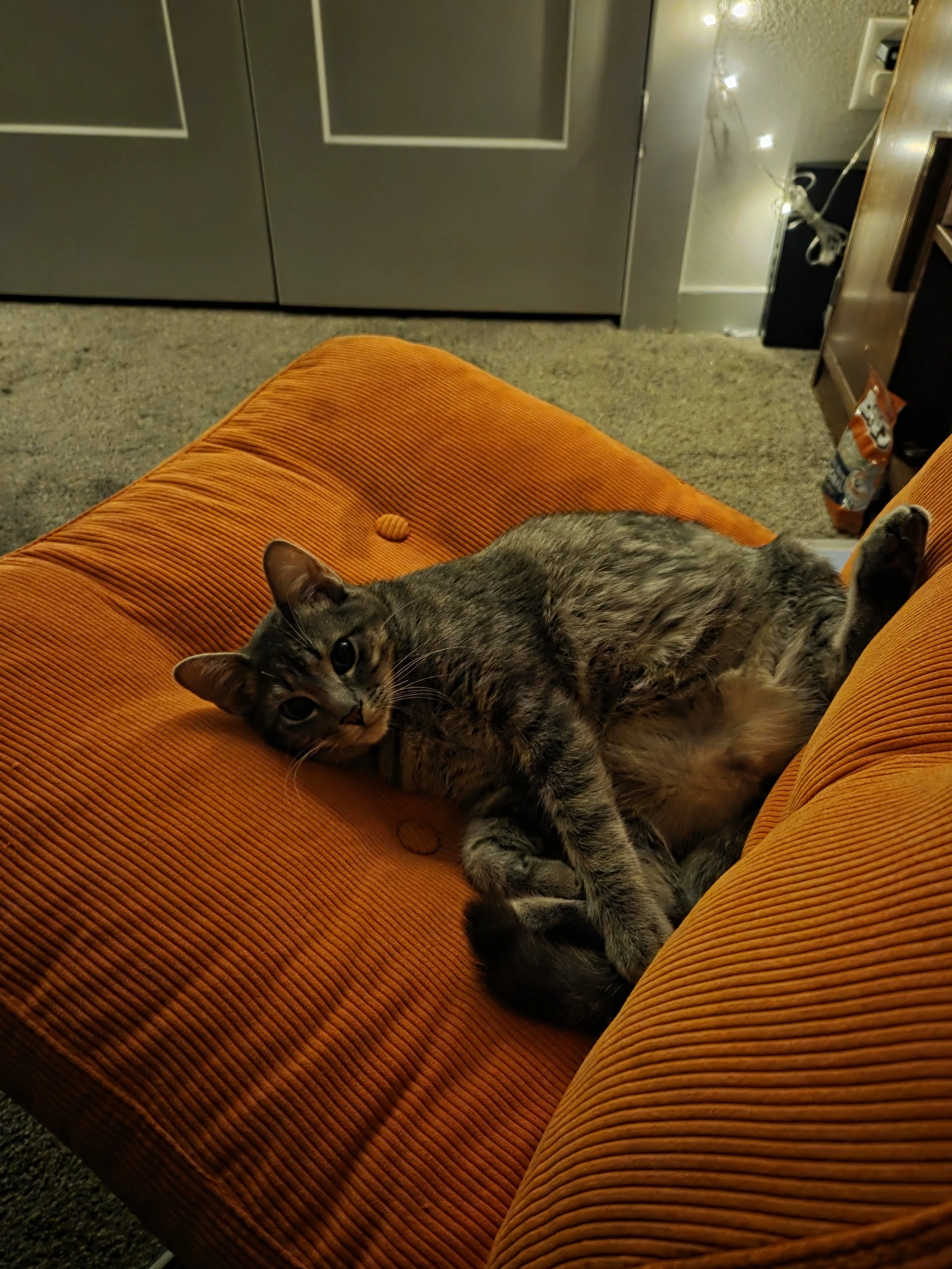 20260219_013605.jpg