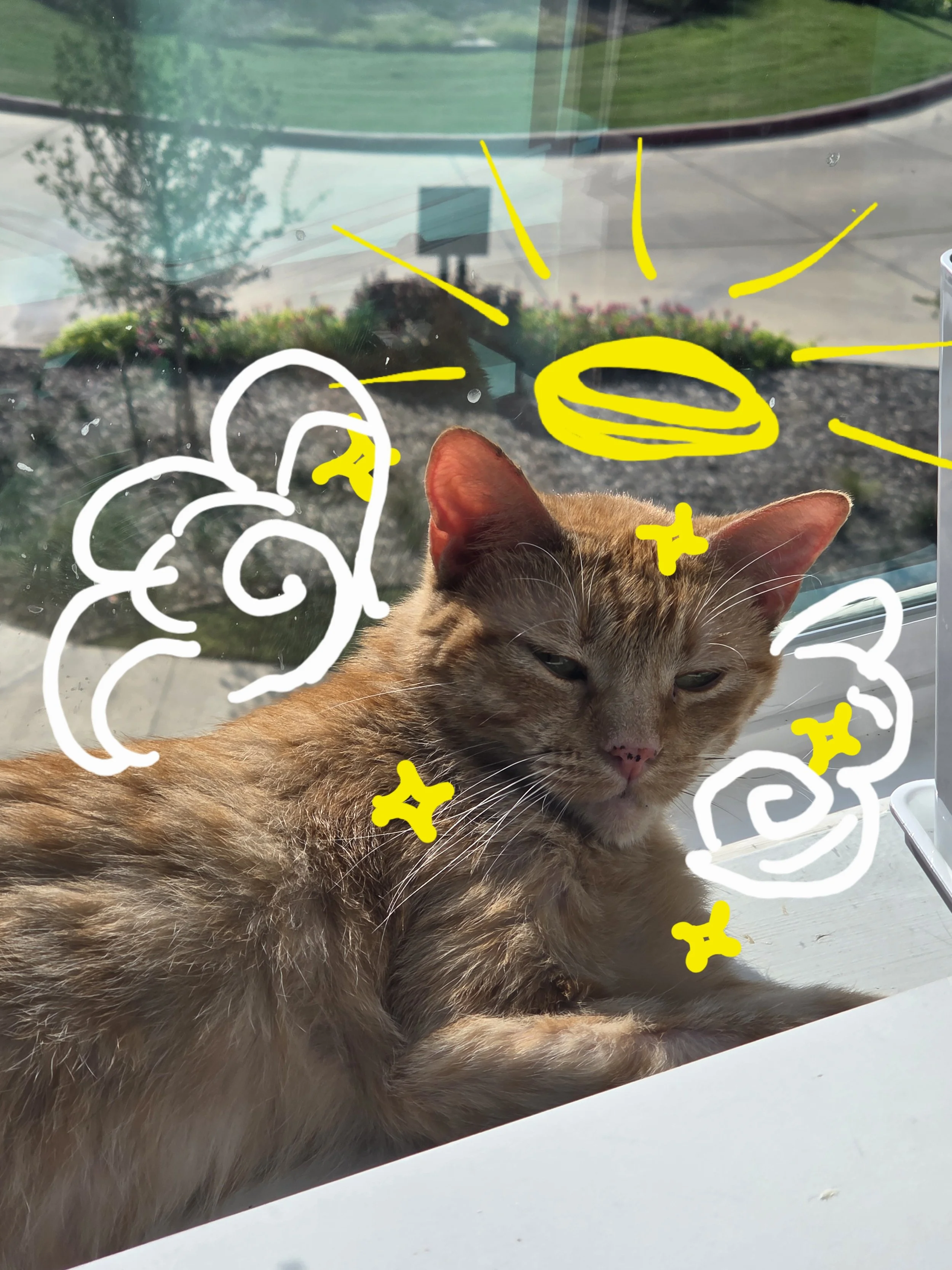 20250901_172301.jpg