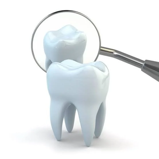 Timeline for the Dental School Application Cycle: Month-by-Month