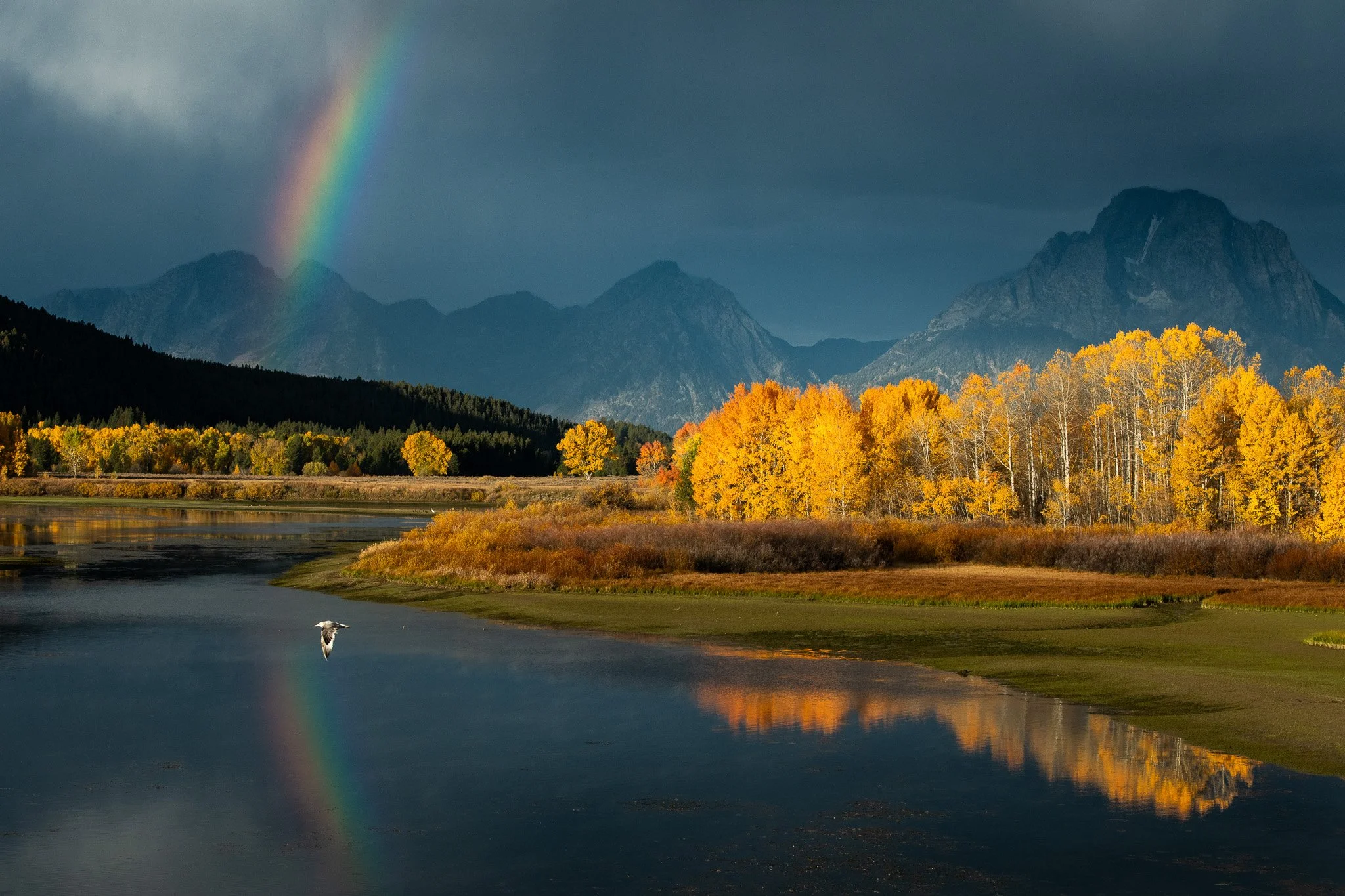 Fall's Treasure
