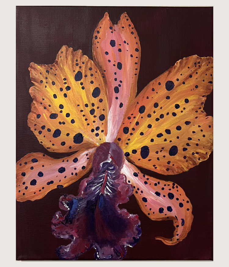 Leopard Orchid Study No. 1