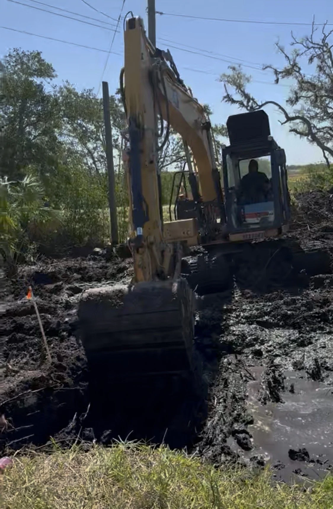 Wetland Mitigation / Restoration