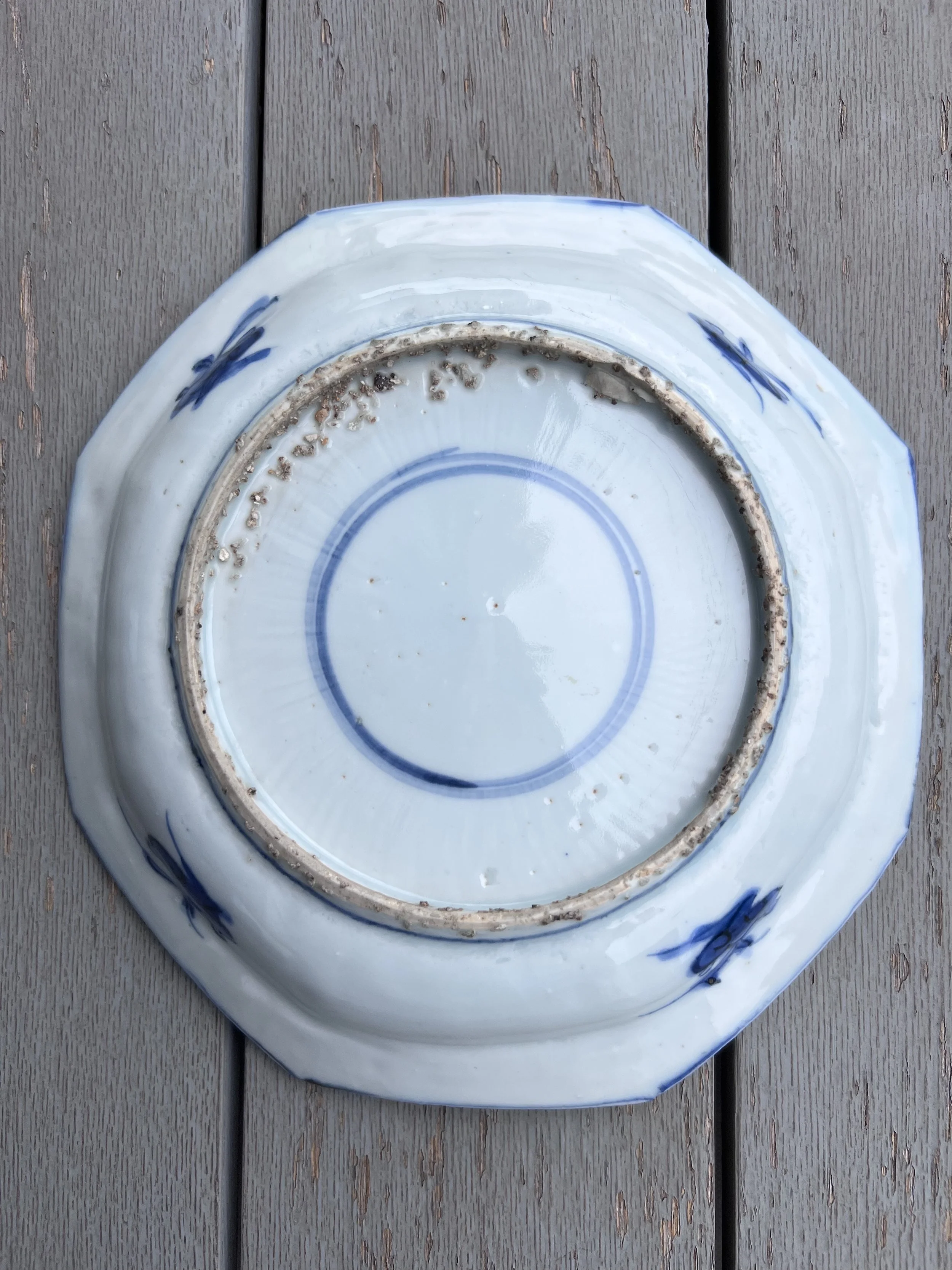 octo dish2.jpg