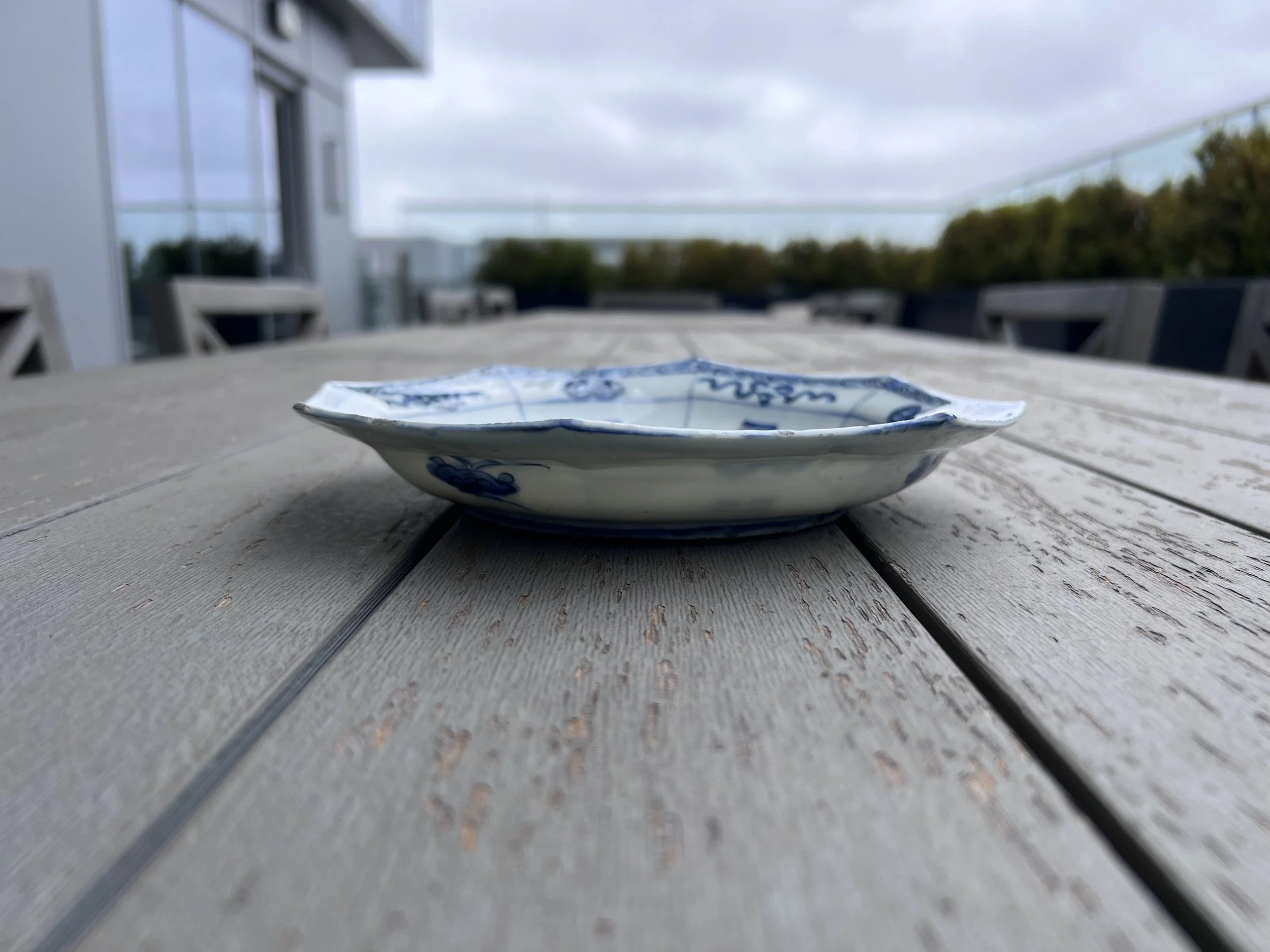 octodish3.jpg