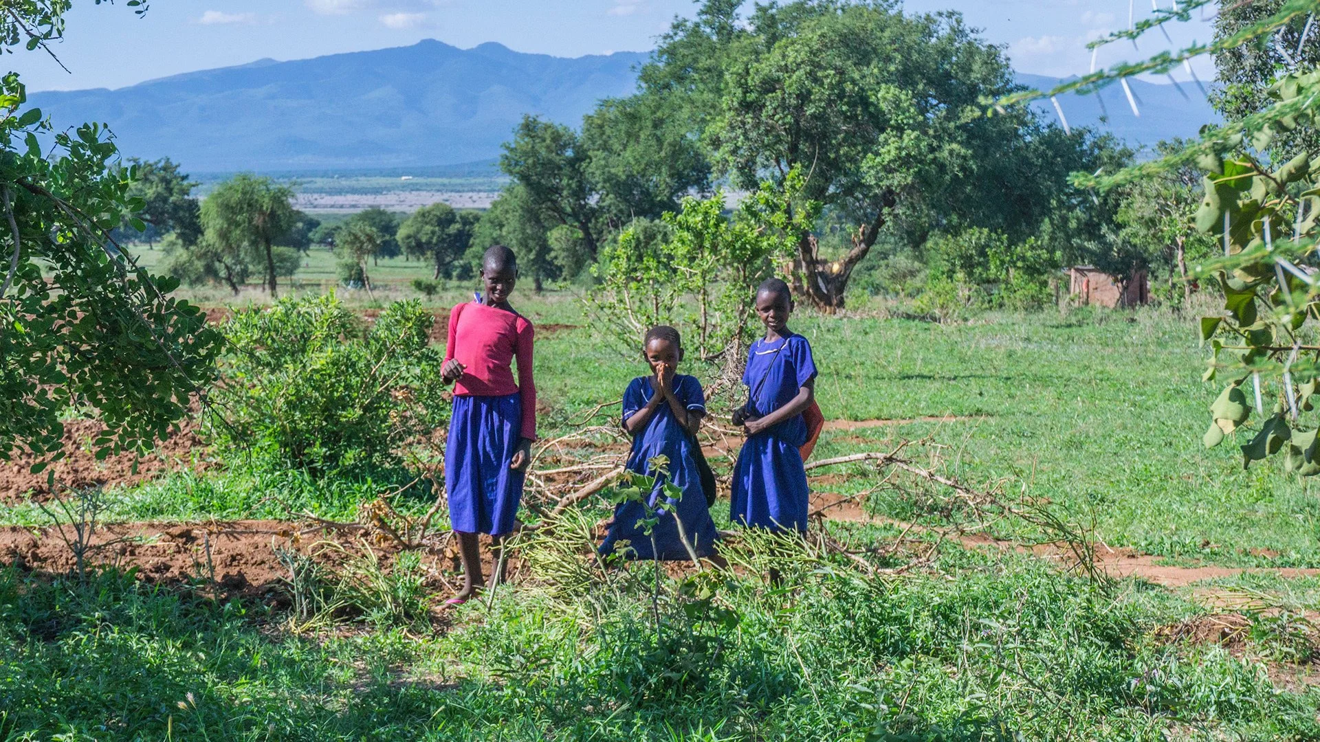 Three children in blue uniforms standing outdoors in a green field with trees and mountains in the background, under a clear sky.