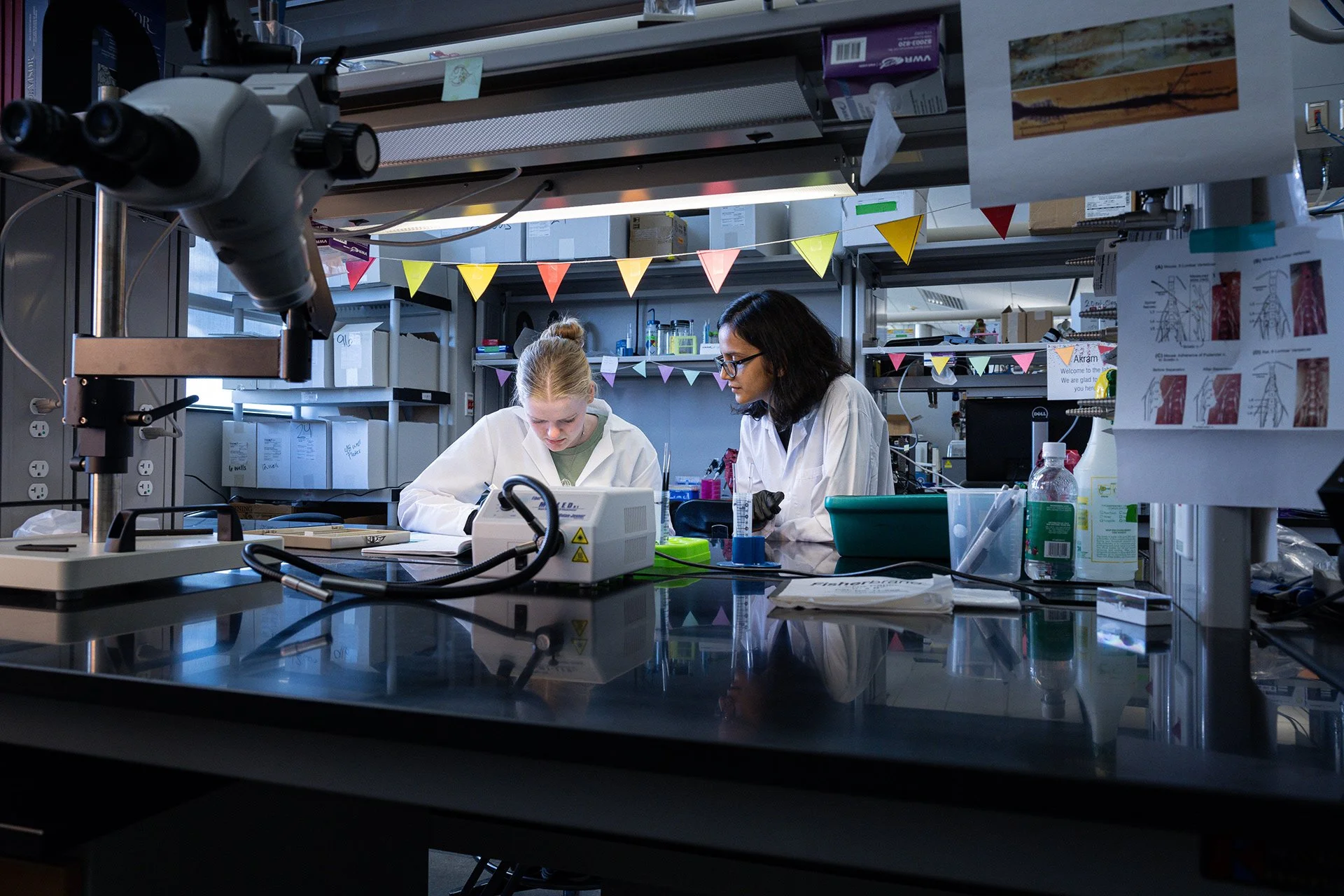 Two scientists work in a laboratory, wearing white coats, surrounded by scientific equipment including microscopes, supplies, and posters, with colorful bunting hanging overhead.