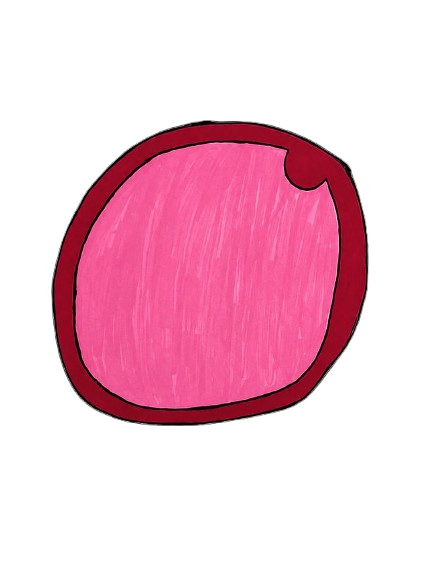RYAHN. bubble
