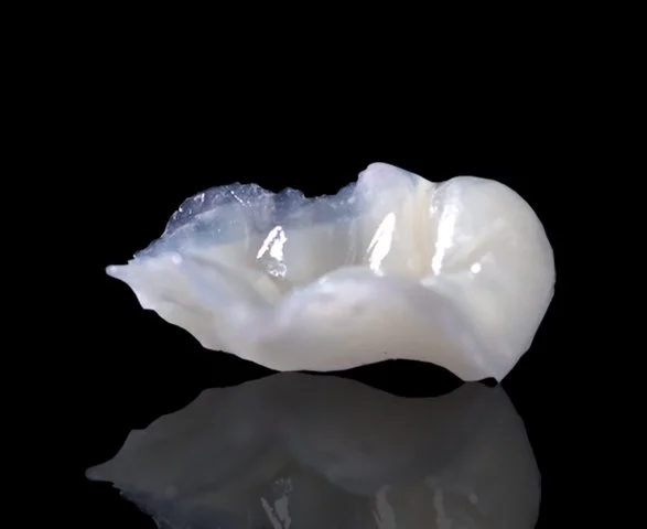 COMPOSITE (Copy)
