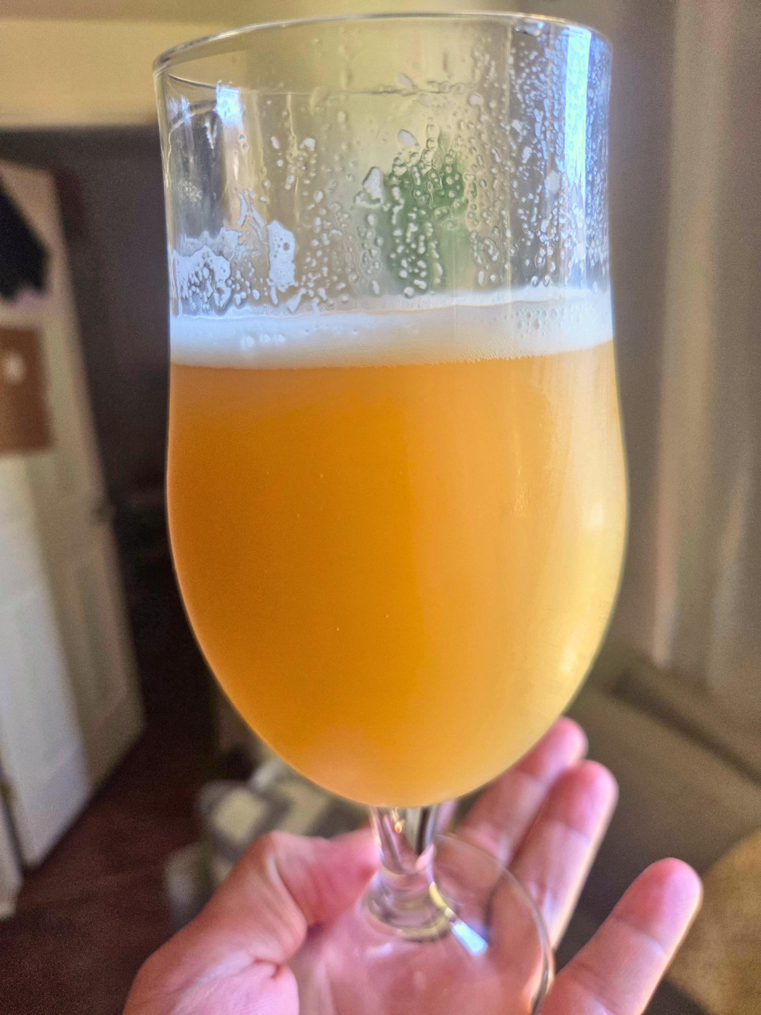 A person holding a tall glass of beer with a foamy head and condensation on the outside of the glass.