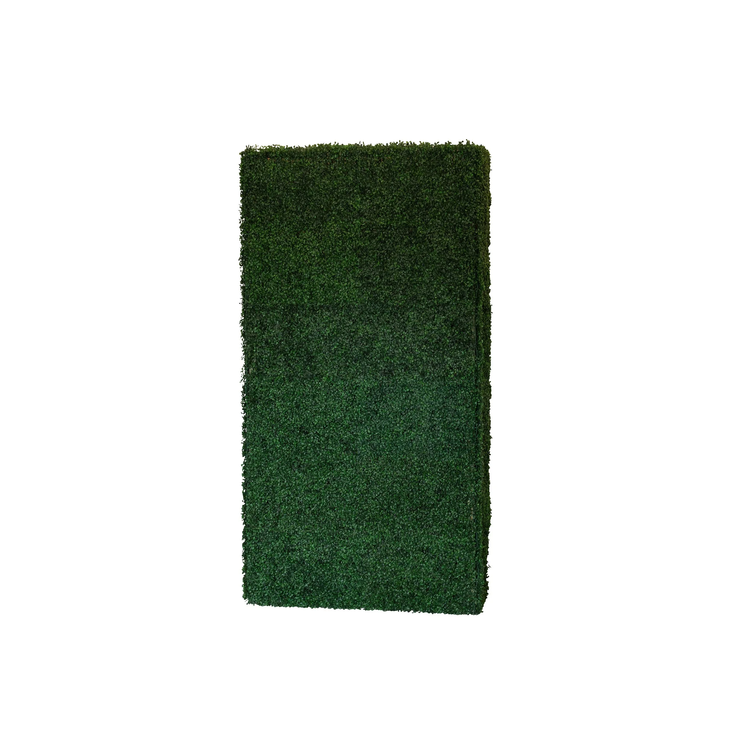 INFINITY The Verdant Boxwood Wall.jpg