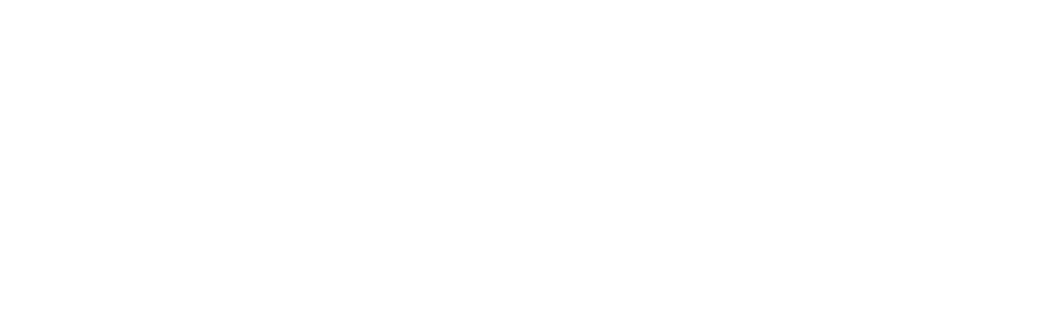 The AM Project