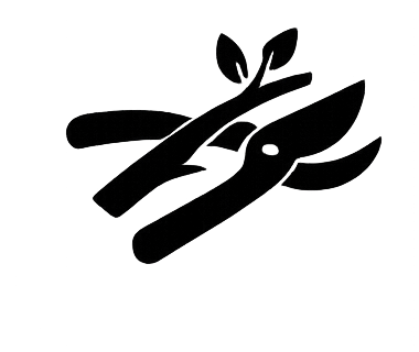 Outdoor Spaces icon