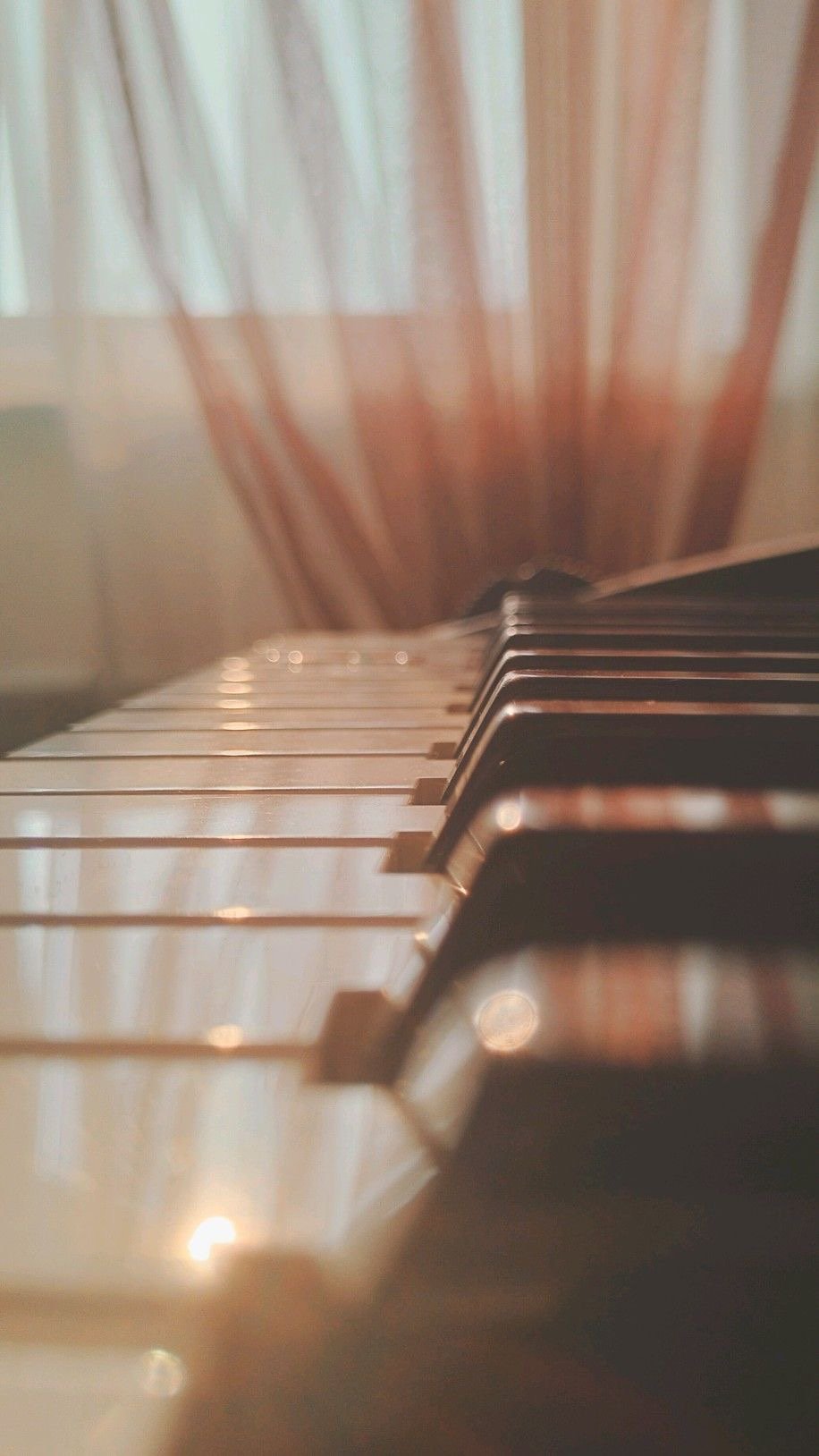 LIVE MUSIC
