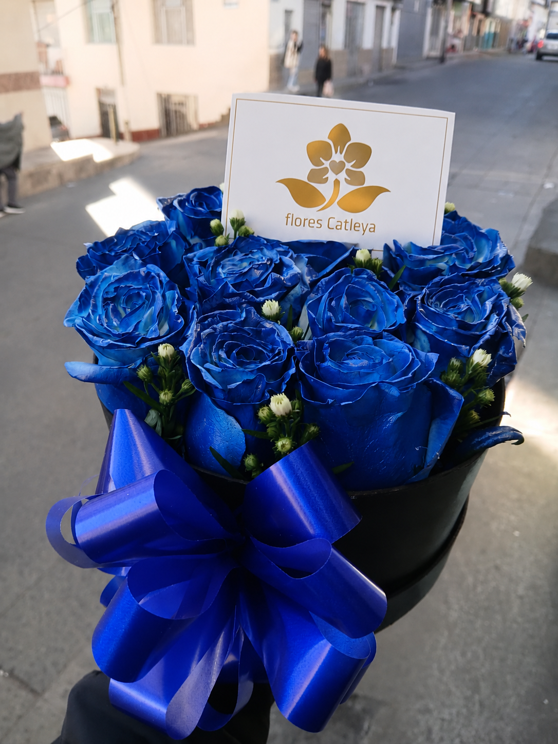 entrega-domicilio-rosas-azules-hombre-ipiales-narino.png