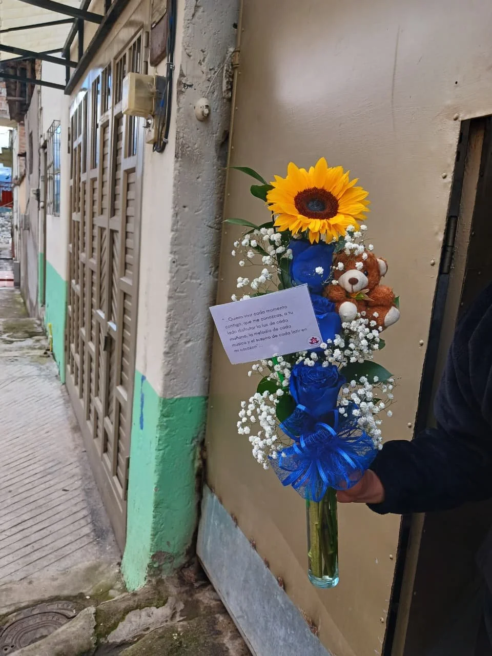 arreglo-rosas-azules-peluche-ipiales.jpeg