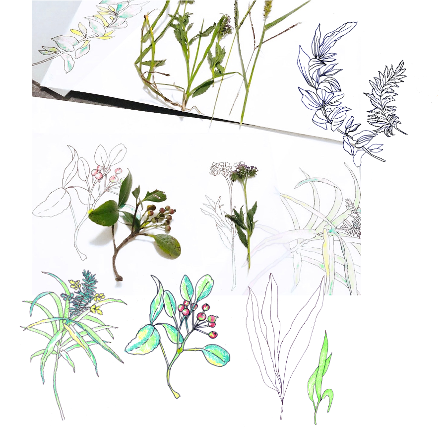 process+refreshed.png