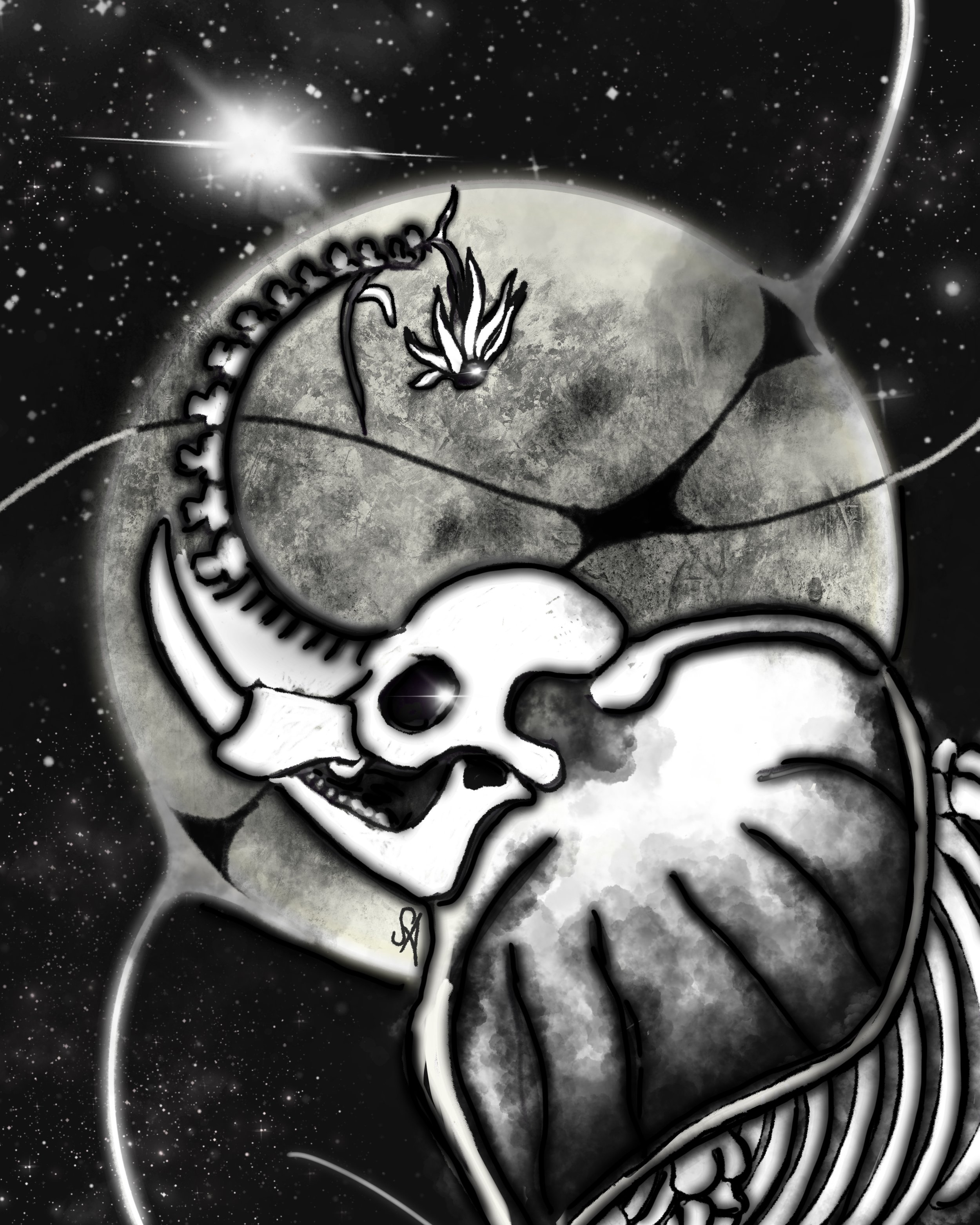 Black Elephant.JPG