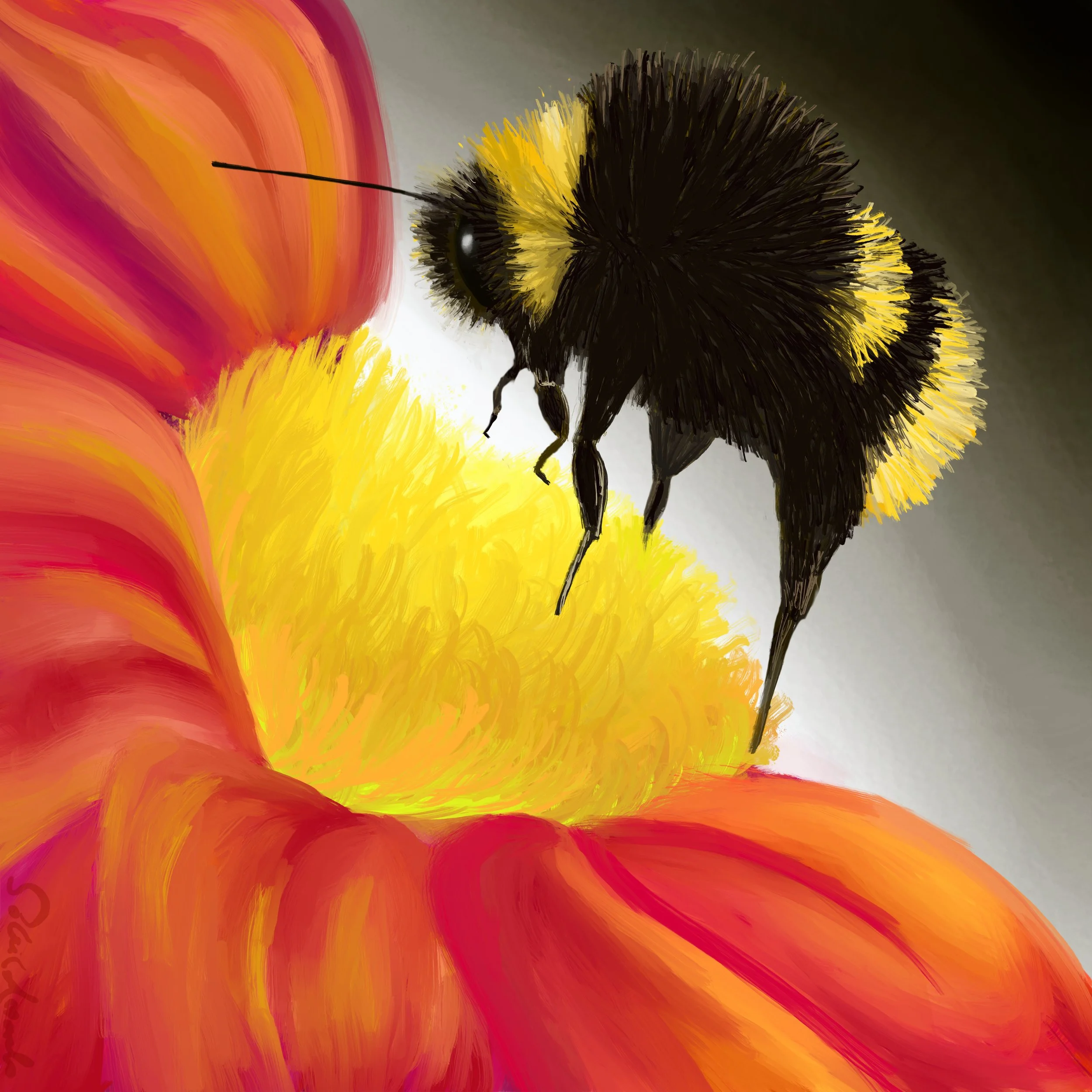 Bumble.JPG