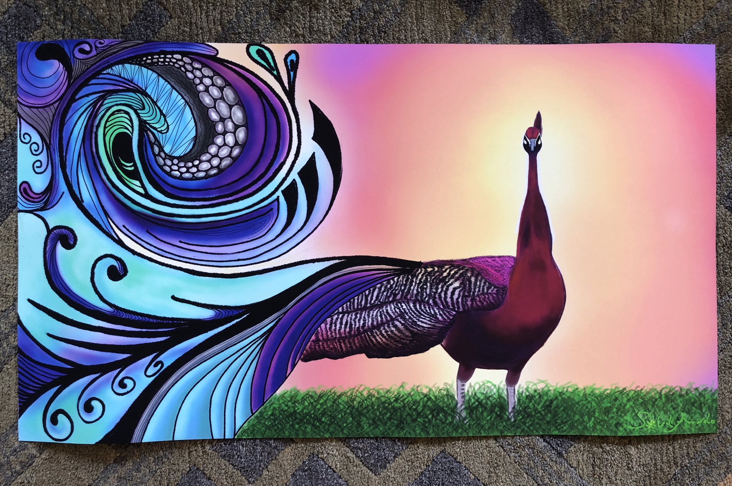 1.Morning Peacock.jpg
