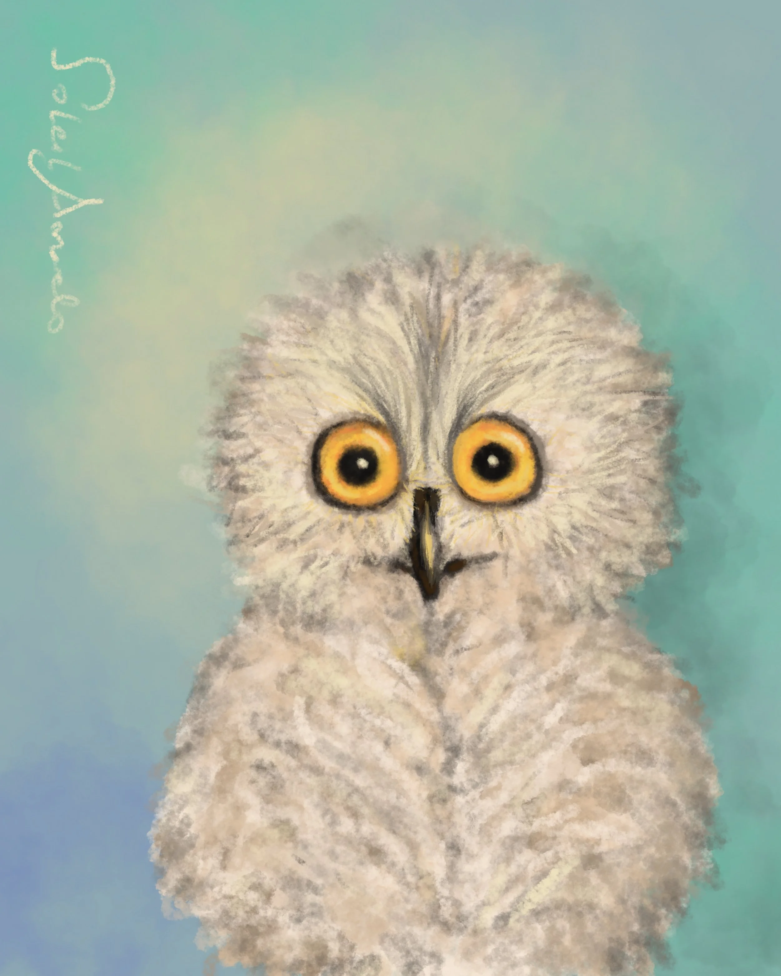 Visiting Baby White Owl in a Dream.JPG