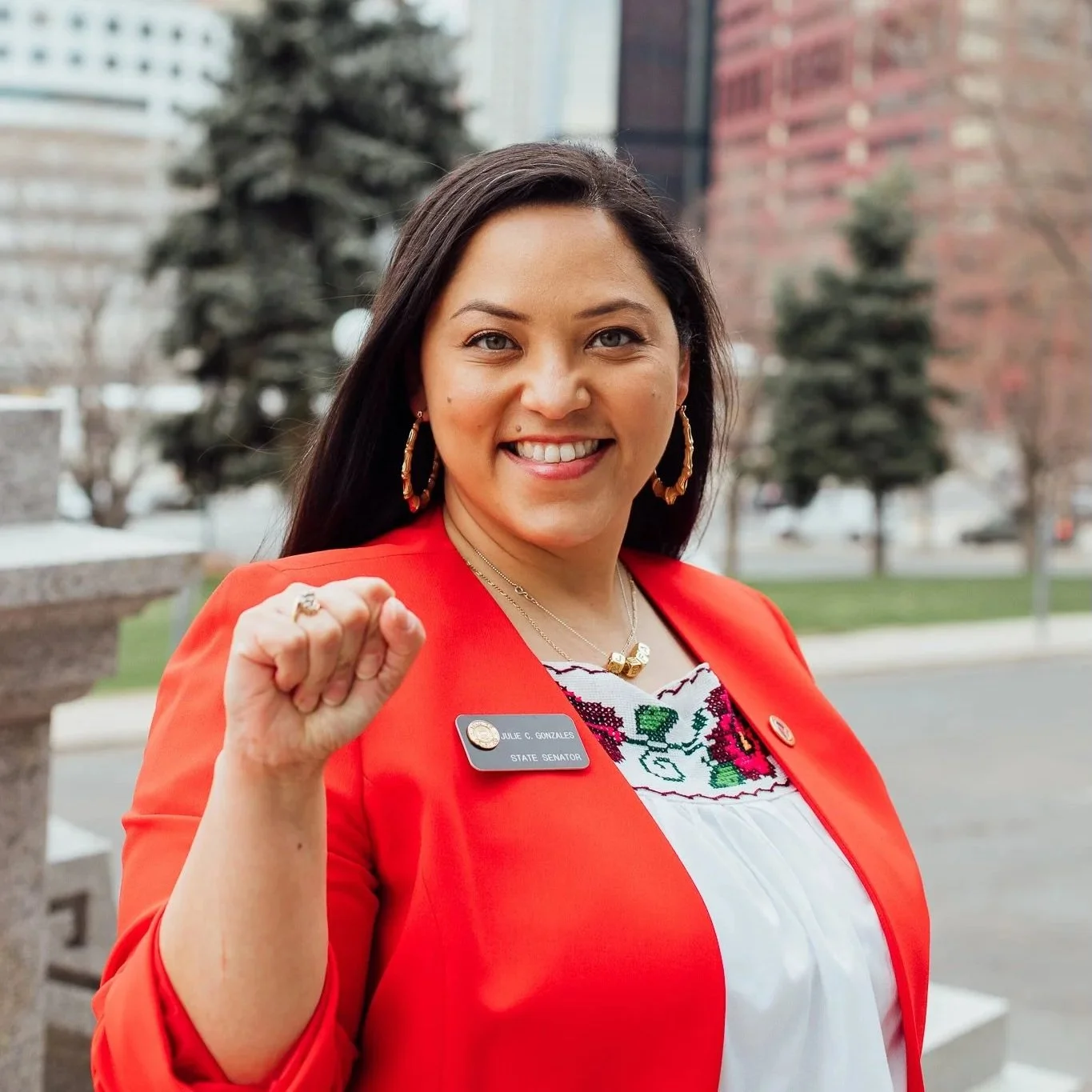 Image of Julie Gonzales, Candidate for US Senate