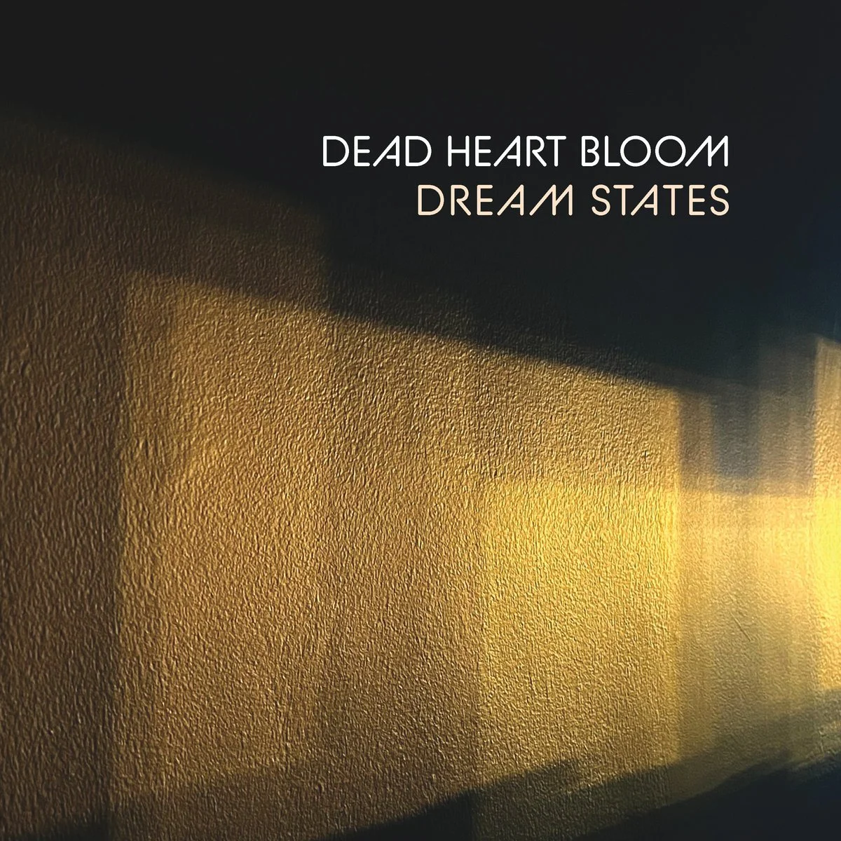 The latest from Dead Heart Bloom, "Dream States," post-pandemic guitar rock and reverberant atmosphere.