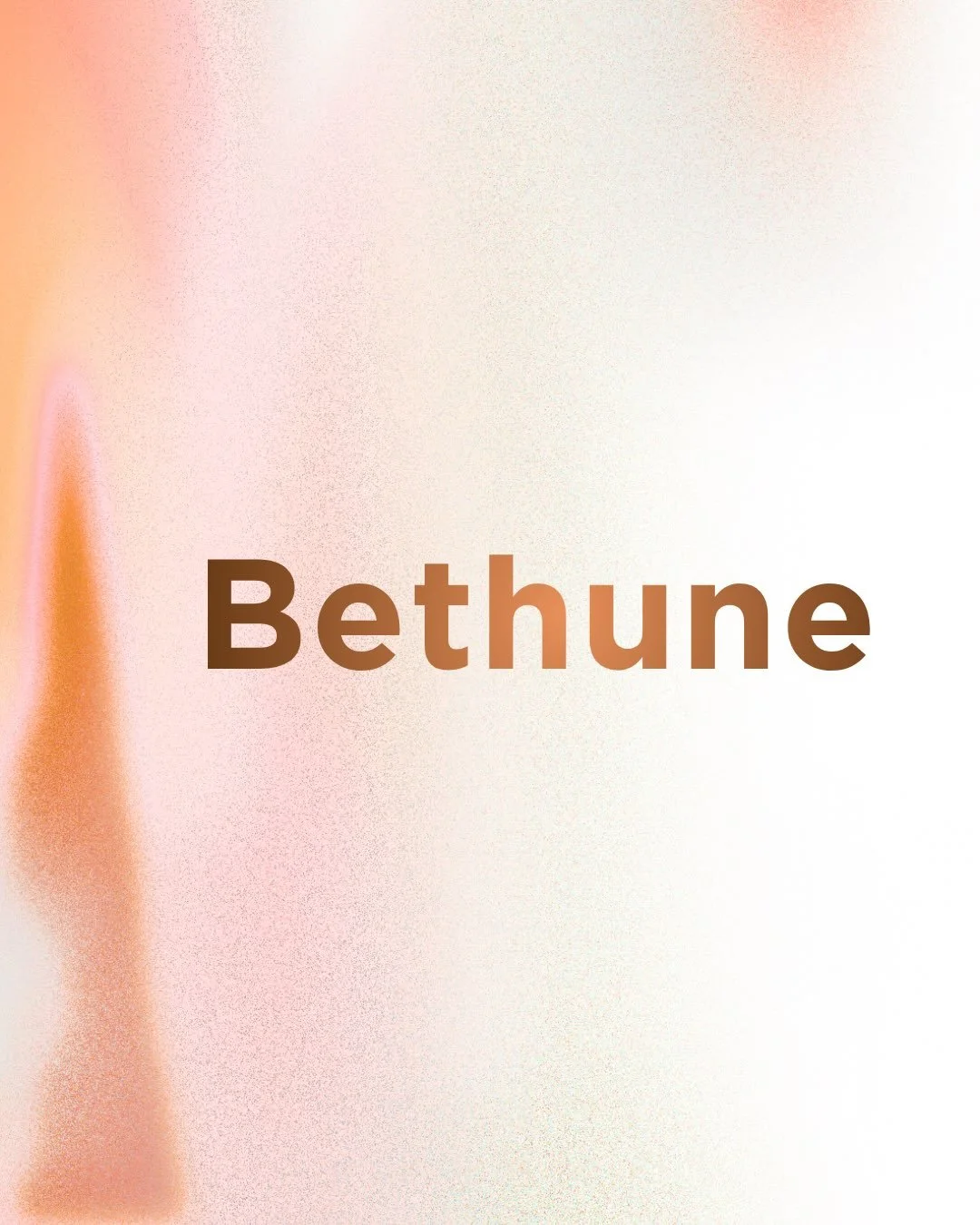 Congratulations to the 2026 Class of Bethune Leadership Fellows! 🎉

This remarkable cohort of 24 emerging leaders was selected from a nationally competitive applicant pool to participate in the Bethune Leadership Fellowship&mdash;an eight-week leade