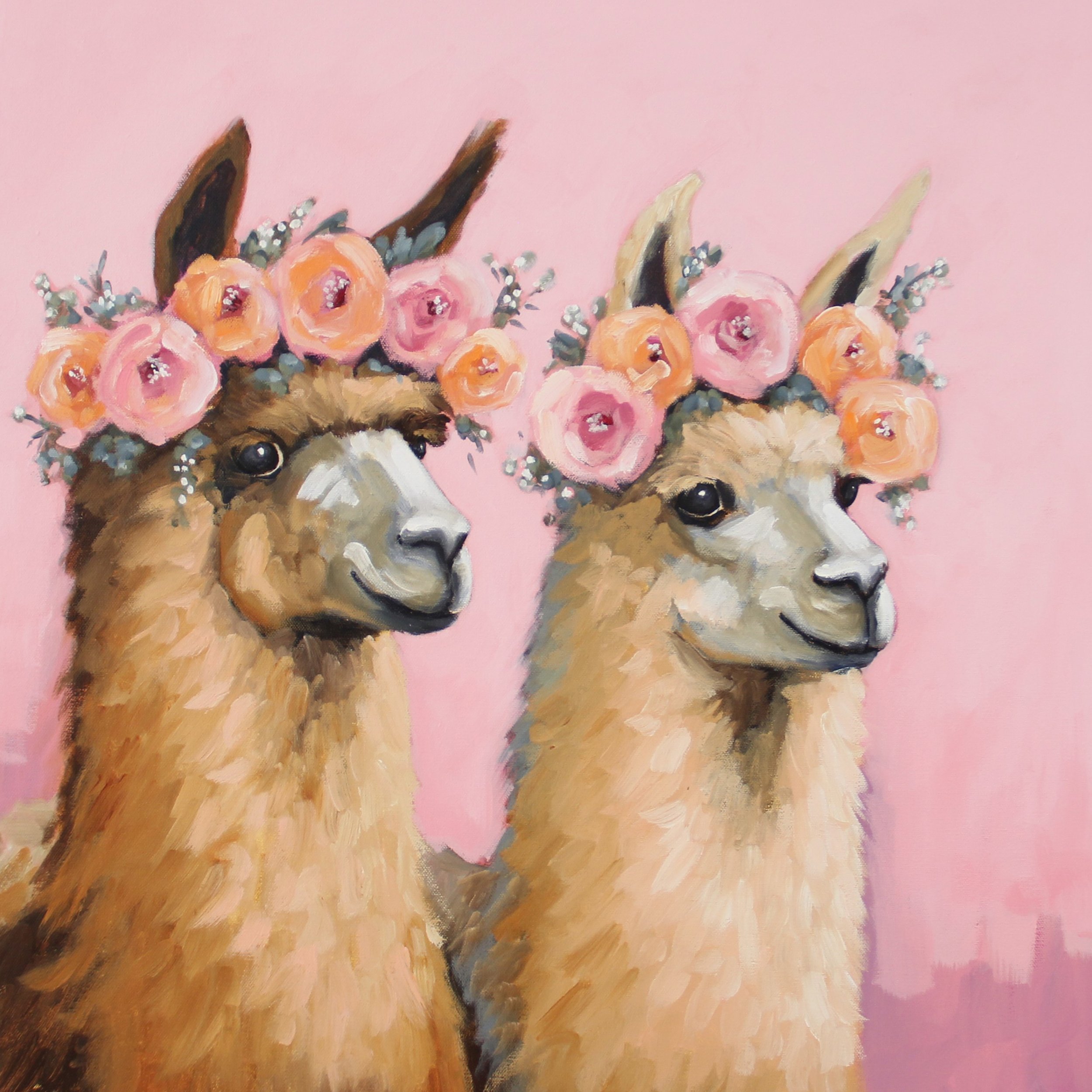 sassy and blossom xl.jpg