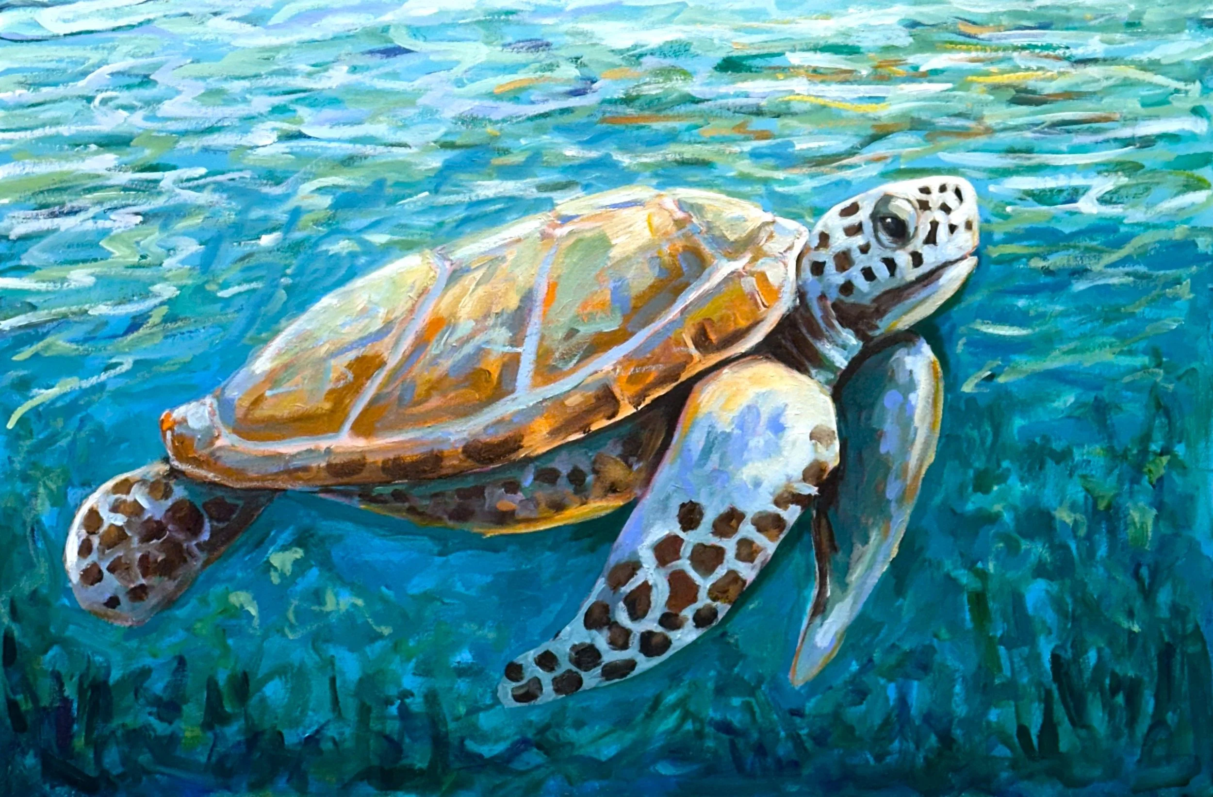 Gili Turtle | 24x36"