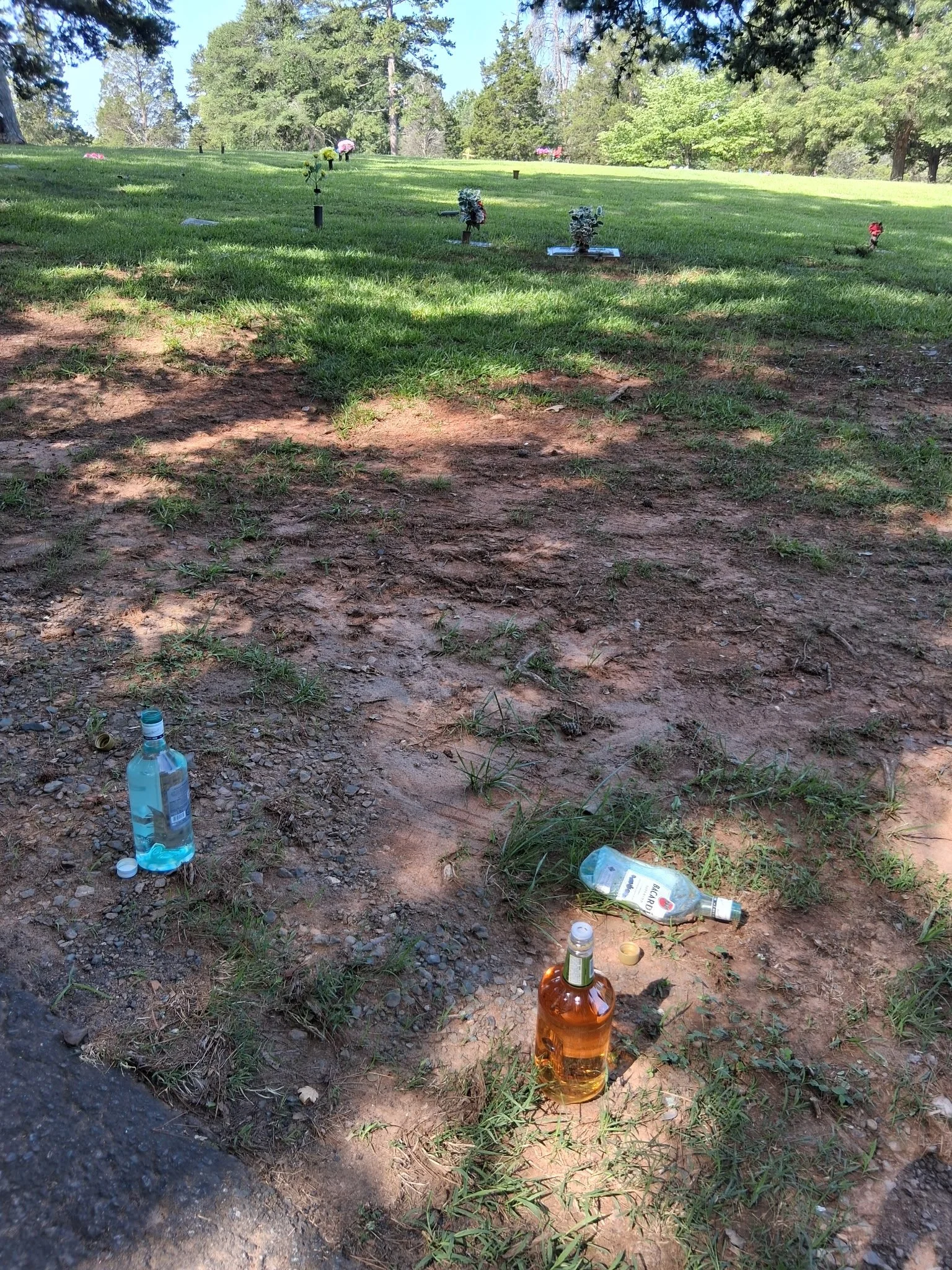 20260703_102219.jpeg