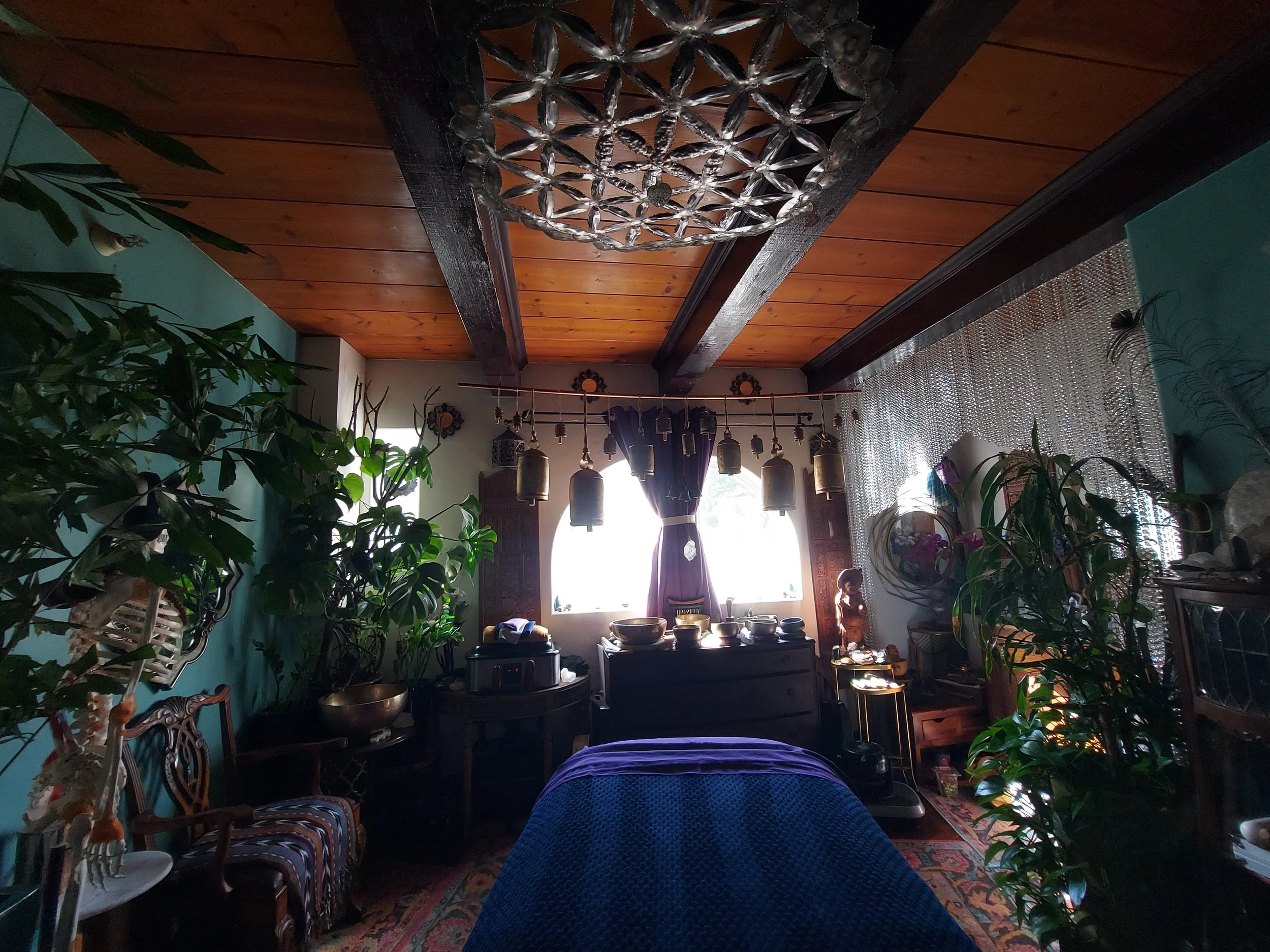 A cozy living room decorated with plants, wooden furniture, and eclectic decor. Sunlight streams through the large window, illuminating the space. A chandelier hangs from the wooden ceiling.