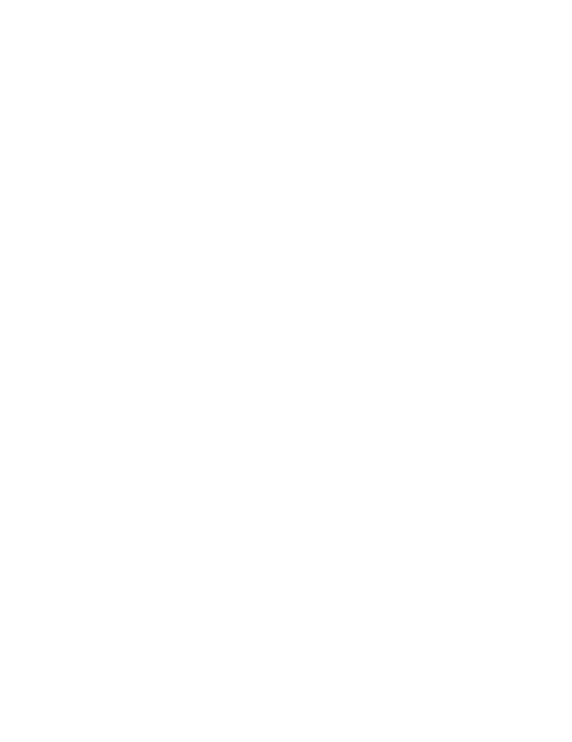 Systems Consultant.