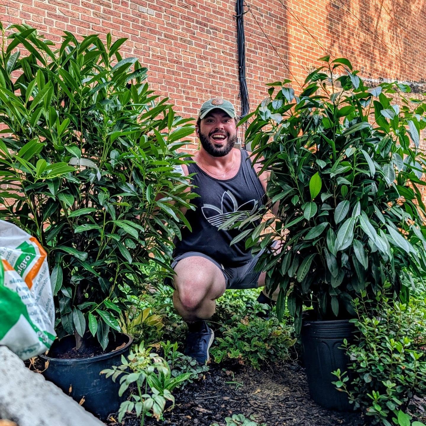 The fundamental right to privacy (hedges)!

It may be hotter than hell out, but we're searching, scouring, and scavenging for the exact right plants for our clients. Combed through four different outdoor plant nurseries and garden centers in 98-degre