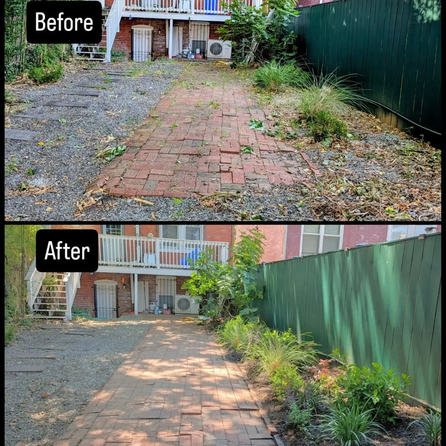Some before and afters of a recent project off Maryland Ave NE in Capitol Hill.

The client had a dry, mostly shaded area with a couple of hours of direct, beating sun in the midday. Preferences for low maintenance, color, and purple. 🟣🟪💜

Lots of