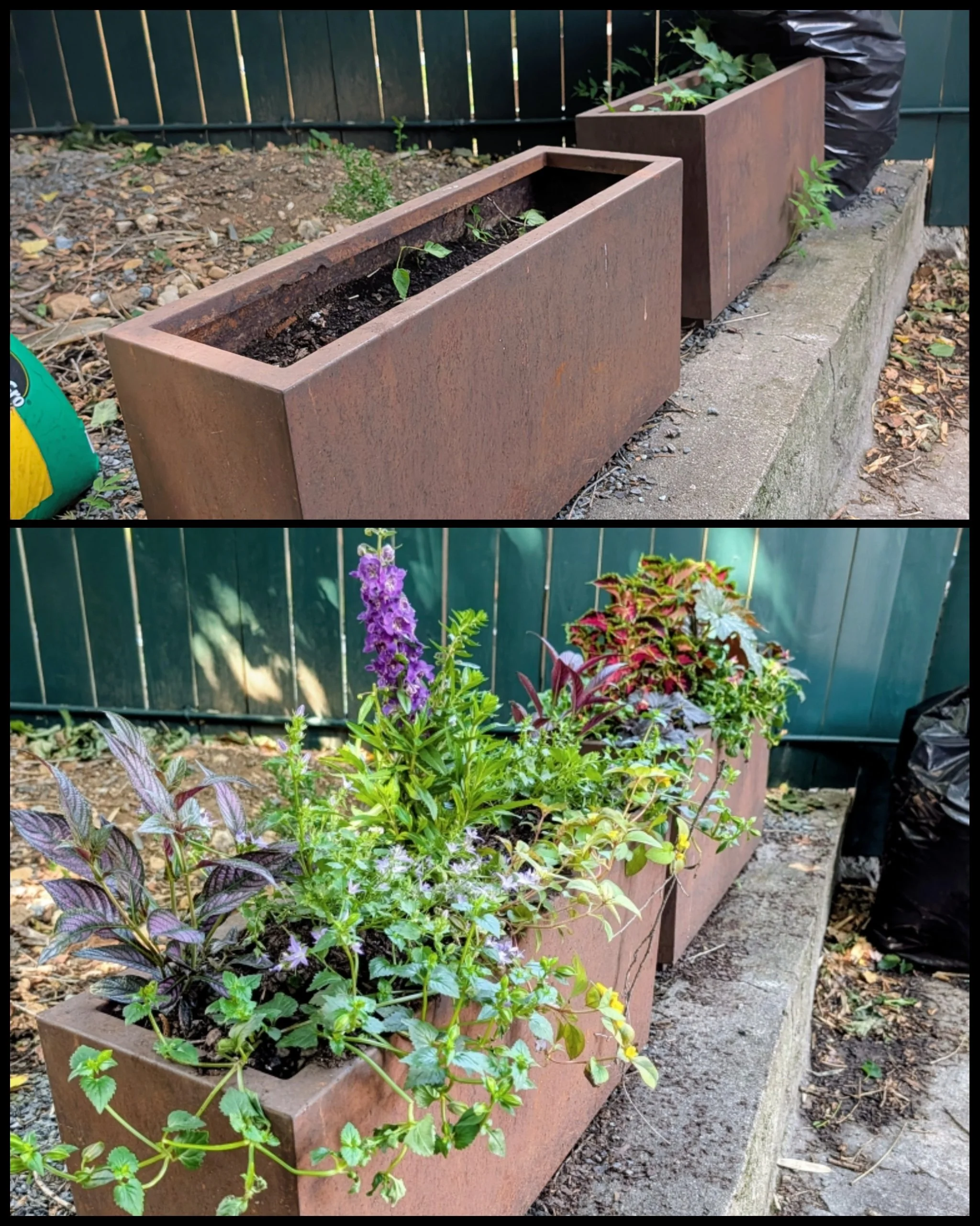Colorful flowers and green plants grow in three long rectangular brick planters placed on a concrete border in a garden area. A green wooden fence is visible in the background.