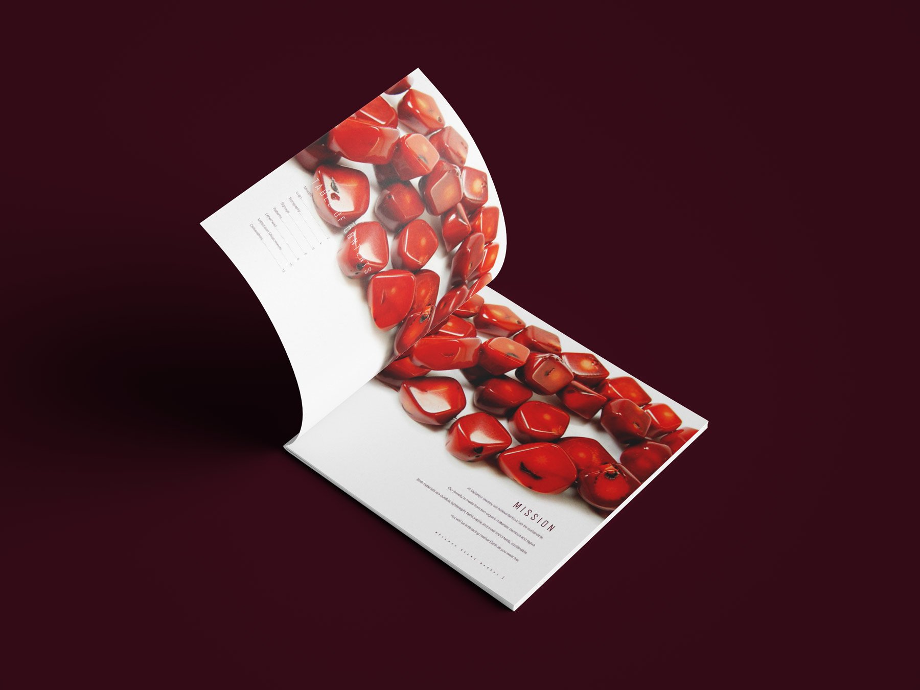 Melange_BrandBooklet_Mockup_2.jpg