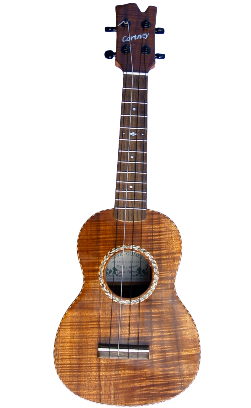 concert ukuleles (1)-1.png