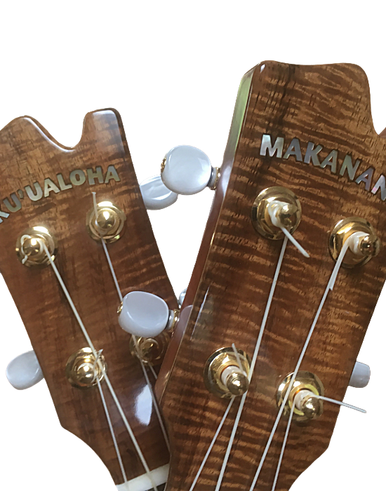 inlays-14.png