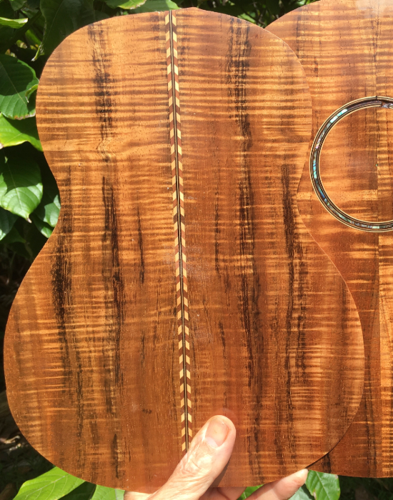 wood species-18.png
