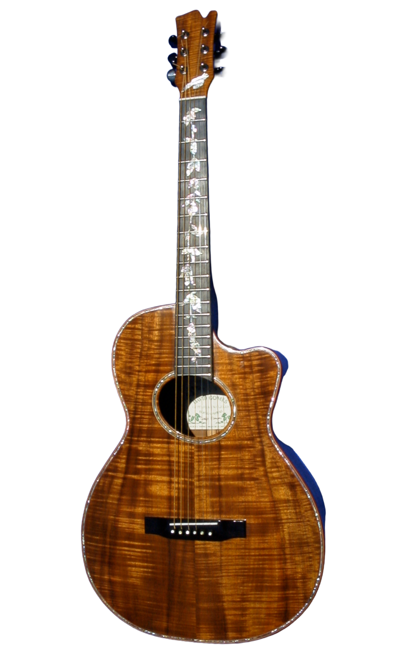 inlays-4.png