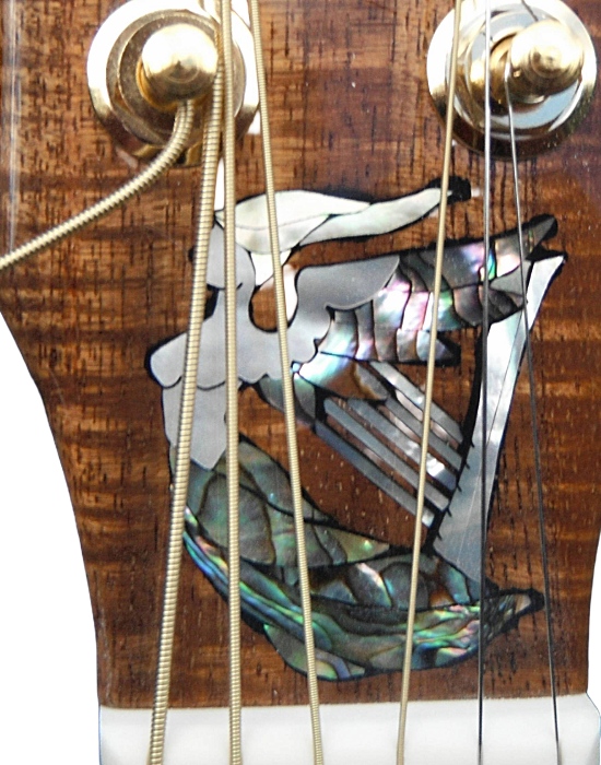 inlays-24.png