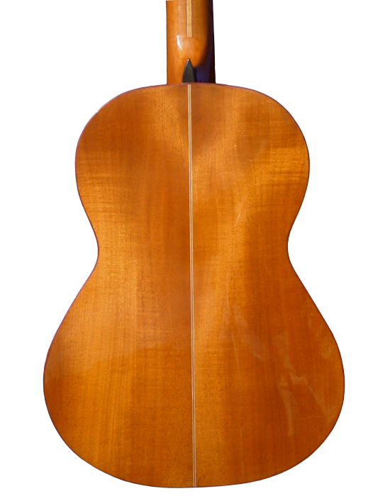 classical guitars-9.png