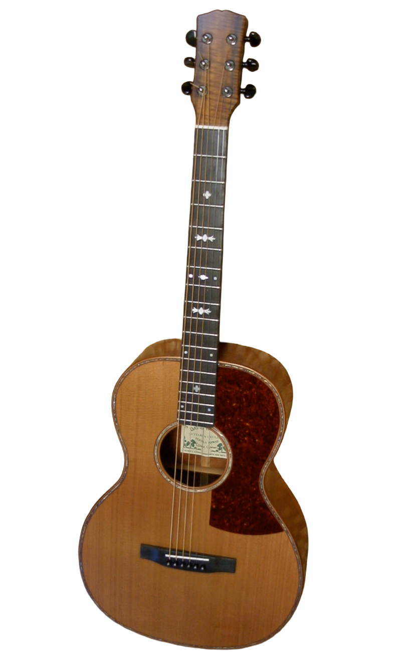 steel string guitars-5.png