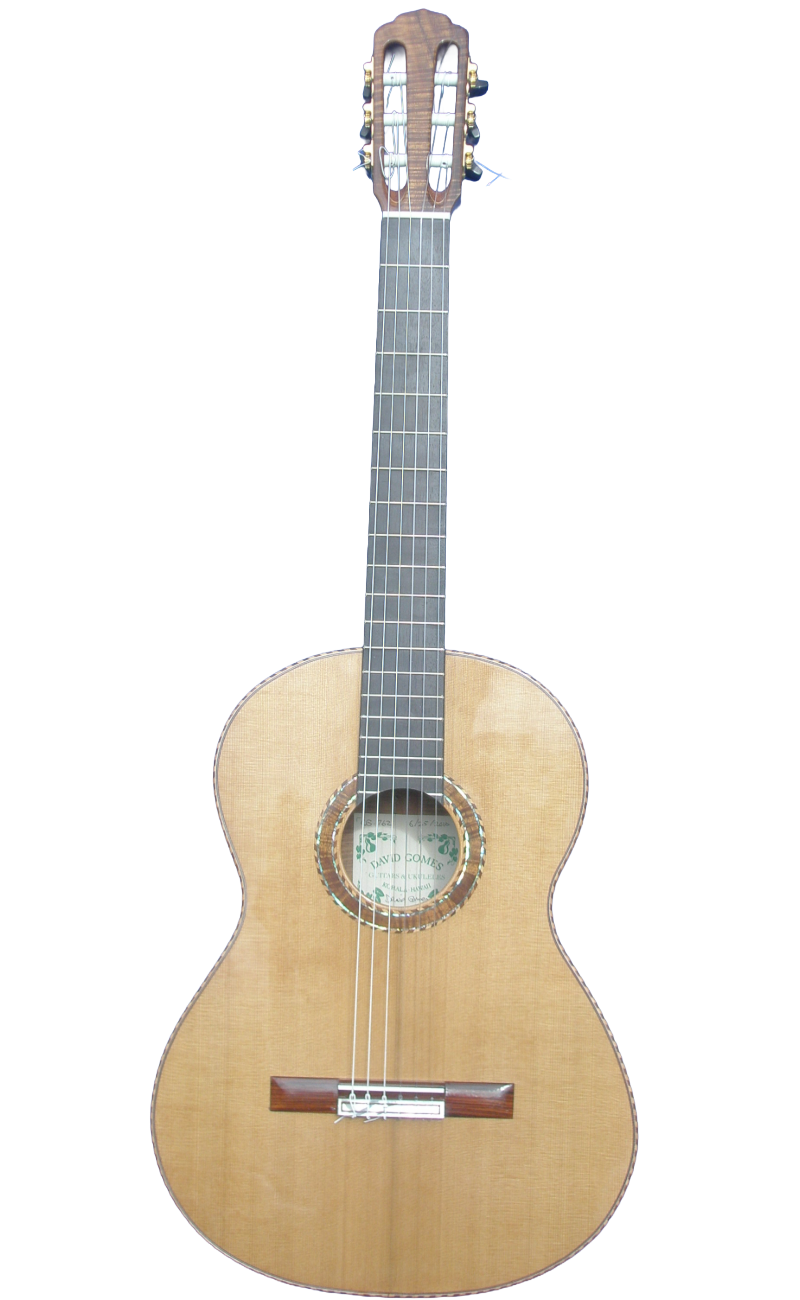 classical guitars-7.png