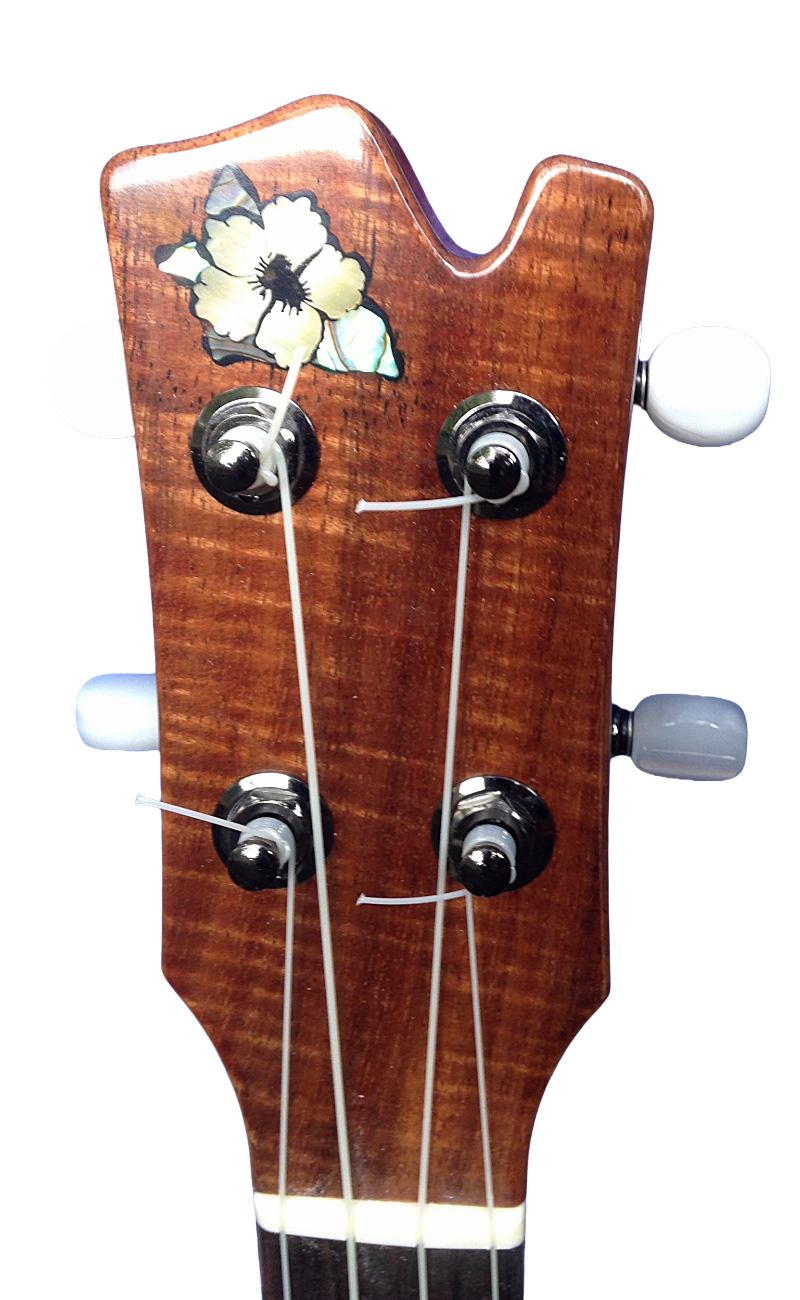 inlays-22.png