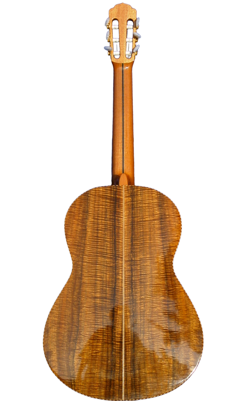 classical guitars-13.png