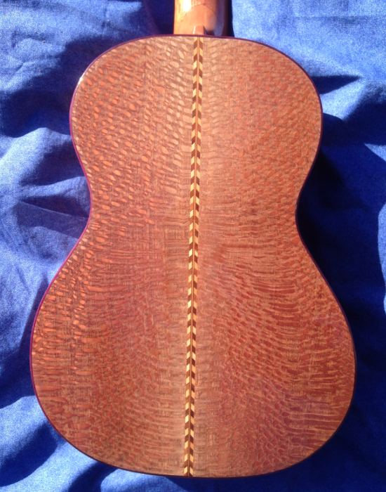 wood species-17.png