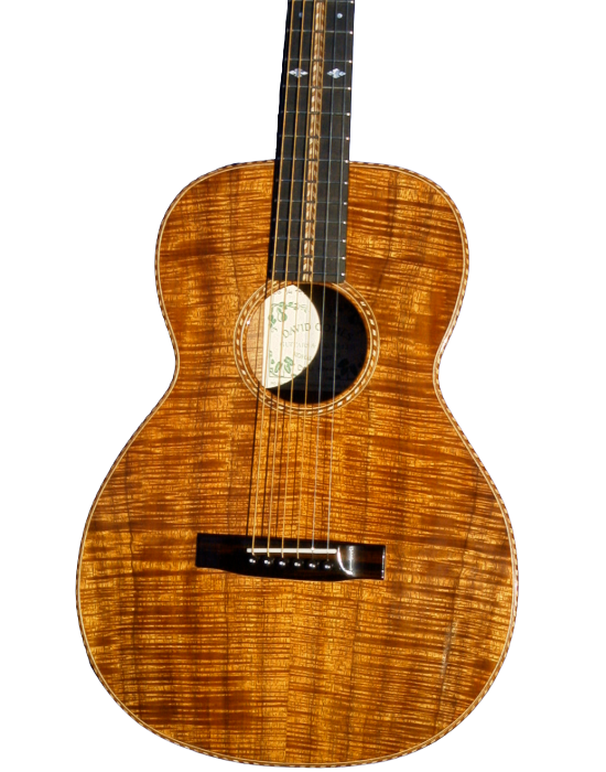 steel string guitars-11.png