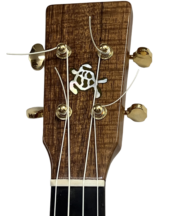 concert ukuleles (1)-11.png